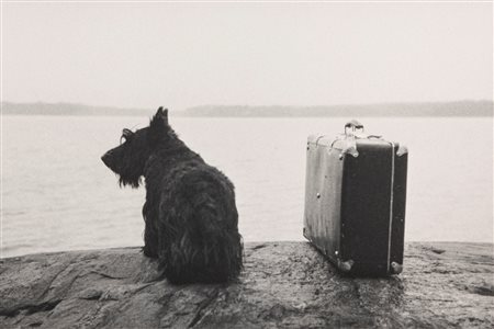 Kristoffer Albrecht (1961)  - Dog with suitcase, 1982