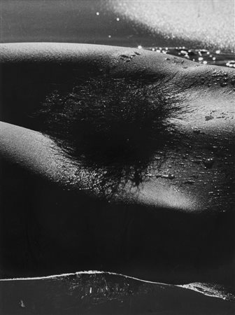 Lucien Clergue (1934-2014)  - Genèse, Camargue, 1962