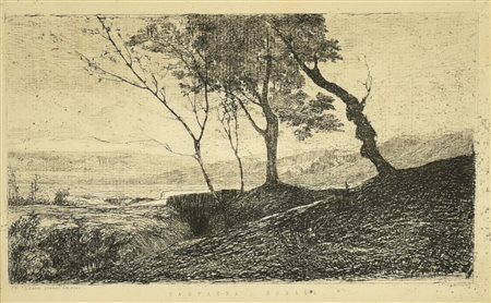 Vittorio Avondo, (1836 - 1910) CAMPAGNA ROMANA acquaforte su carta, battuta...