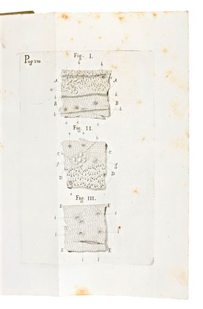 De Bononiensi Scientiarum et Artium Instituto atque Academia commentarii. Bononiae, ex typ. Laelii a Vulpe, apud Metropolitanam, 1731