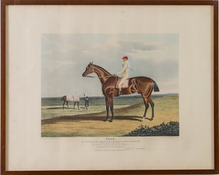  
Da Thomas Sutherland (1785–1838). Ebor: Winner of the Great St Leger Stakes at Doncaster. 1817. 
 