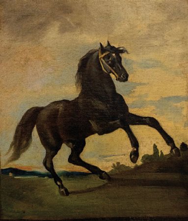 Scuola italiana del secolo XIX - Cavallo rampanteOlio su tela42,2 x 36,4 cm