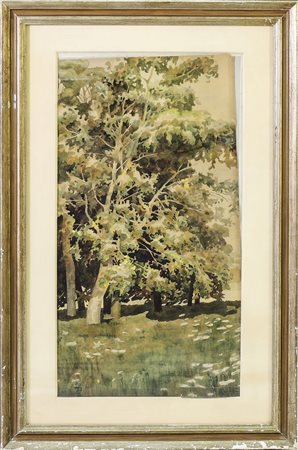 PAESAGGIO ALBERATO - LANDSCAPE WITH TREES acquerello su carta - watercolour...