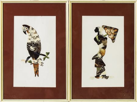 COPPIA DI COLLAGE CON ALI DI FARFALLA - PAIR OF BUTTERFLY WING COLLAGE cm 33x20