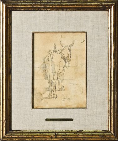 SILVIO BICCHI (1874-1948) Cavallo matita su carta, firmato, in cornice cm...