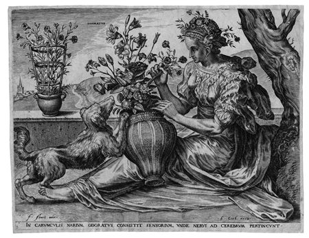 Cort, Cornelis(Hoorn 1533 &ndash; Roma 1578)L&rsquo;ODORATO. 1561Bulino. mm...