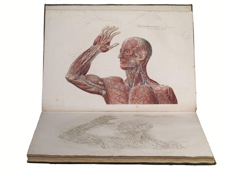 (Anatomia Illustrati 800) MASCAGNI, Paolo (1755-1815). Anatomiae...