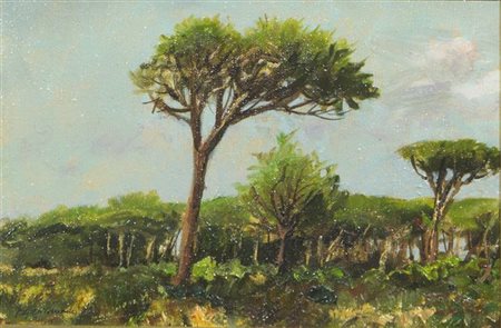 GUAITAMACCHI BRUNO Milano 1931 "Pineta in maremma" 20x30 olio su tavoletta...