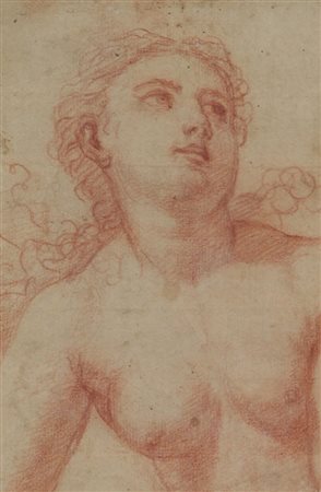 Anonimo Nudo sanguigna su carta, cm. 20x13