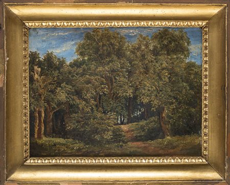 Scuola del sec. XIX 'Paesaggio boschivo' olio su cartone pressato(cm 22,5x30)...