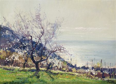 MUSSO CARLO Balangero (TO) 1907 - 1968 "Primavera" 30x40,5 olio su cartone...