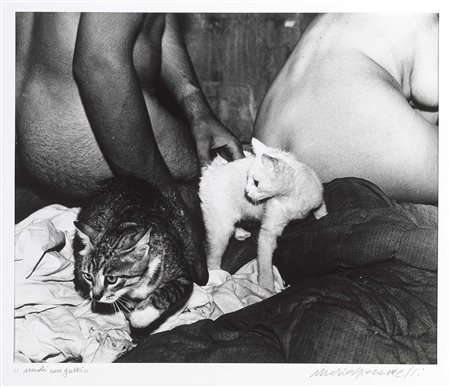 Mario Giacomelli Senigallia (An) 1925 - 2000 Nudi con gatti Stampa alla...