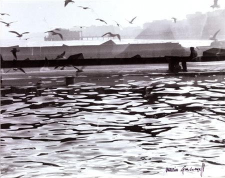 Mario Giacomelli (Senigallia 1925 - 2000) GABBIANI stampa alla gelatina...