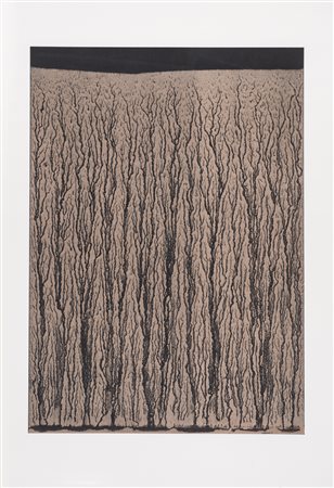 Richard Long (1945) Untitled Firmata Richard Long sul retro Litografia cm...