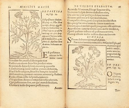 Botanica - Odo de Meung - Pictorius, Georg De Herbarum Virtutibus Aemilii...