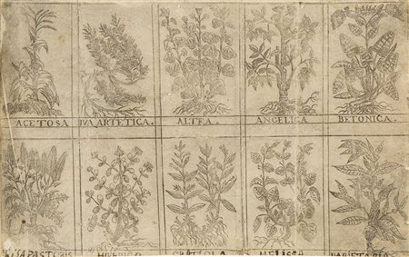 Botanica - Rosaccio, Giuseppe Virtù mirabile di dieci herbe Bologna, Benacci,...