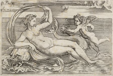 [Raimondi, Marcantonio] Venere reclinata su un delfino con Cupido Bulino,...