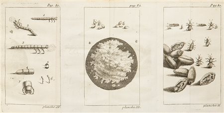 Storia naturale - Bureau-Deslandes, André François Recueil de différens...