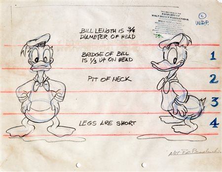 A.N.I. Disney "Donald Duck model sheet", anni '40/'50 china e matite colorate...