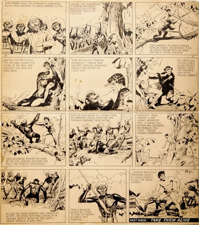 Hal Foster "Tarzan - Bohgdu's Sacrifice", 1935 matita e china su cartoncino,...