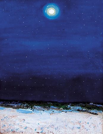 ADDAMIANO NATALE Bitetto 1943Cielo stellato, 2001olio su tela cm. 40x30,...