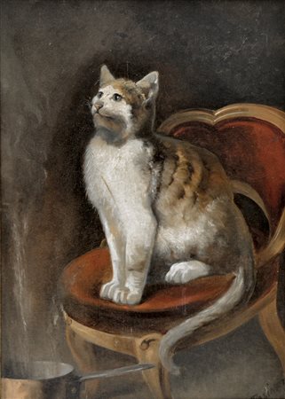 PASINETTI LUIGI Venezia 1862 Il gatto olio su tela 77x55 firma in basso a destra