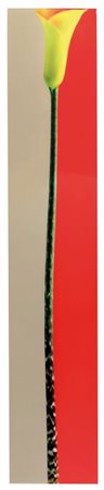BECKLEY BILL (1946-) Single Bars Gray,red, yellow2004cibachrome montato su...