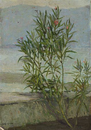 Alberto Salietti (Ravenna 1892 - Chiavari 1961) - "Pianta fiorita" olio su...