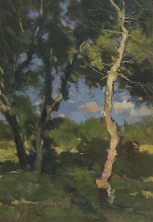 Ludovico Tommasi, Livorno 1866 - Firenze 1941, Alberi , Olio su cartone, cm....