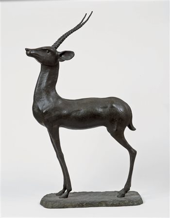 GUIDO RIGHETTI Att.a. Milano 1975 - 1958 Antilope Eritrea 1940 ca. Scultura...