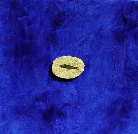 Evan DE VILDE 1973 Profondo blu, 2005, tecnica mista su tela, cm. 40 x 40,...