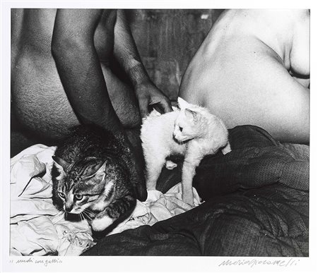 Mario Giacomelli, Senigallia (An) 1925 - 2000, Nudi con gatti, Stampa alla...