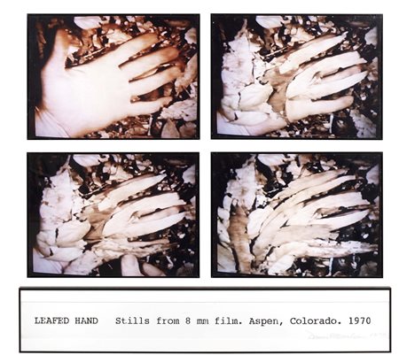 Dennis Oppenheim, Mason City 1938, Leafed hand, 1970, Quattro fotografie a...