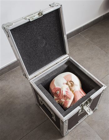 PATRICK RAYNAUD (1946)The box, 1991 Scultura in valigetta di alluminio e...