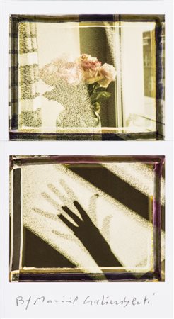 MAURIZIO GALIMBERTIFlowers Self Hand Dittico di polaroidCm 18,5x10Firma al...