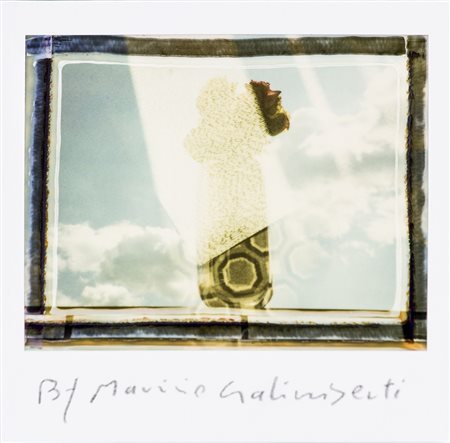 MAURIZIO GALIMBERTI (1956)Room Flowers 16 Polaroid SingolaCm 10x10Firma al...