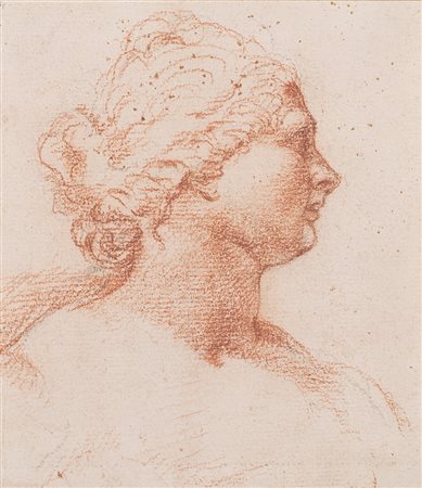 Maestro francese del XVIII Secolo "Studio per volto" disegno a sanguigna (cm...