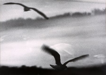 MARIO GIACOMELLI Senigallia 1925 - 2000 Senza titolo fotografia in bianco e...