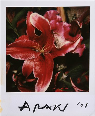 NOBUYOSHI ARAKI 1940 " POLA EROS " 2001 Polaroid unique 10,8x8,8 firmata e...