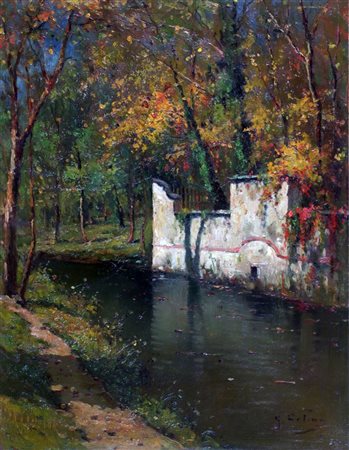 COLMO GIOVANNI Torino 1867 - 1947 "Autunno nel bosco" 45x35 olio su cartone...