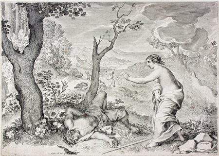 Claude Mellan La morte di Adone. 1630 ca.Bulino. mm 217x306. Foglio: mm...